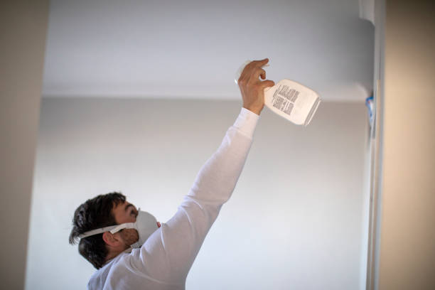 Mold Removal Process in Green Hill, TN