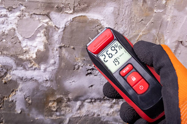 Best Local Mold Removal Service  in Green Hill, TN
