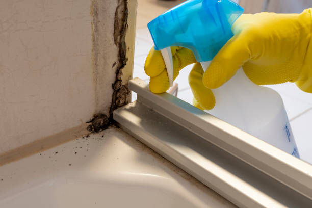 Best Commercial Mold Removal  in Green Hill, TN
