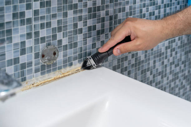 Trusted Green Hill, TN Mold Removal Experts